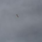IMG 9513
